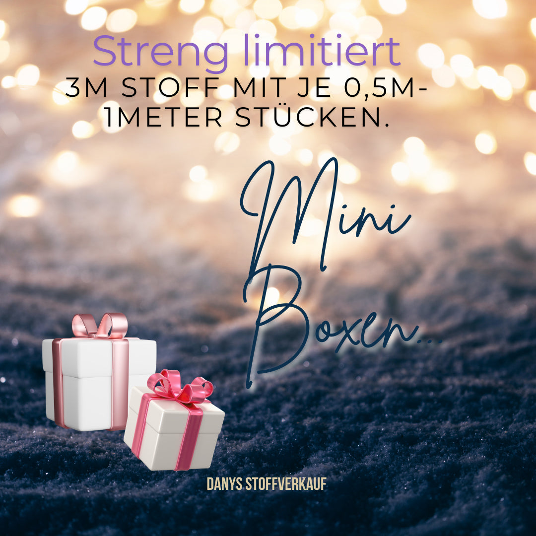 Mini Mädchen / Damen Box 3m